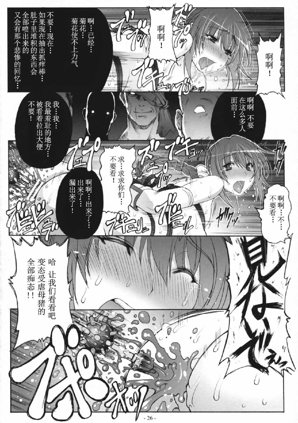 (C81) [Wolkenkratzer (Bontenkarasu, Erect Sawaru)] Decadence 3 (Dead or Alive) [Chinese] [ナナコ个人汉化] - Page 25