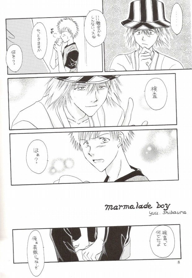 (C64) [MOON WATER, OVER HEAT! (Miyazawa Tasuku, Shibaura Yuu)] Muv-Luv (Bleach) - Page 4