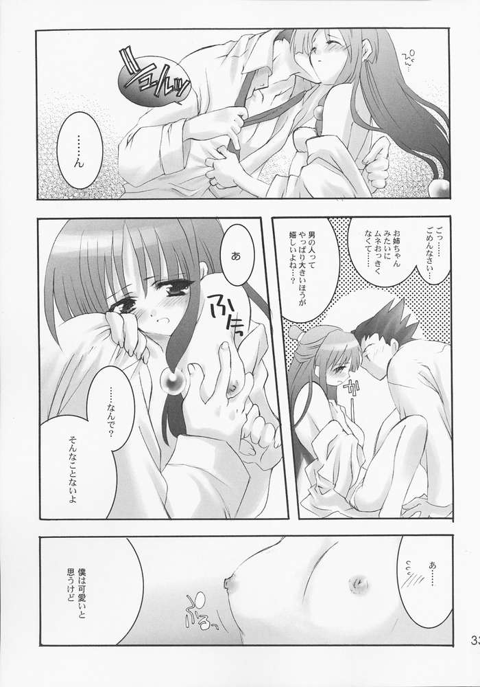(C61) [A', ARESTICA (Ariko Youichi, bebe)] Bengo-Dohdan! (Ace Attorney) - Page 30