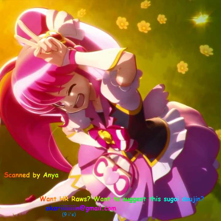 (C80) [Yokoshimaya. (Yokoshima Takemaru)] Erikon (Heartcatch Precure!) - Page 19