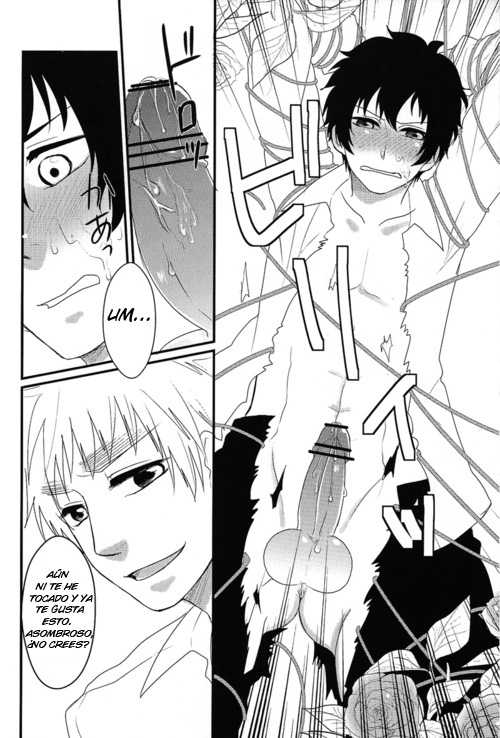 [nmtk (Toya Mayu)] El cautivo de la rosa (Hetalia: Axis Powers) [Spanish] - Page 11