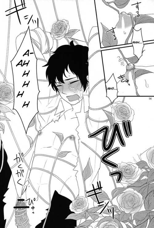 [nmtk (Toya Mayu)] El cautivo de la rosa (Hetalia: Axis Powers) [Spanish] - Page 13