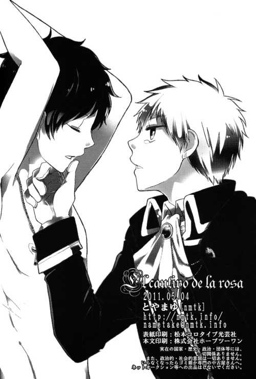 [nmtk (Toya Mayu)] El cautivo de la rosa (Hetalia: Axis Powers) [Spanish] - Page 29