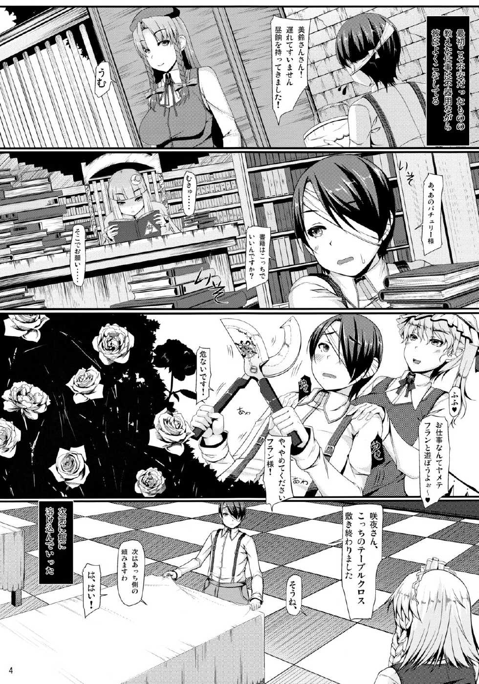 (C85) [barista (Kirise Mitsuru)] Day After Day (Touhou Project) - Page 3