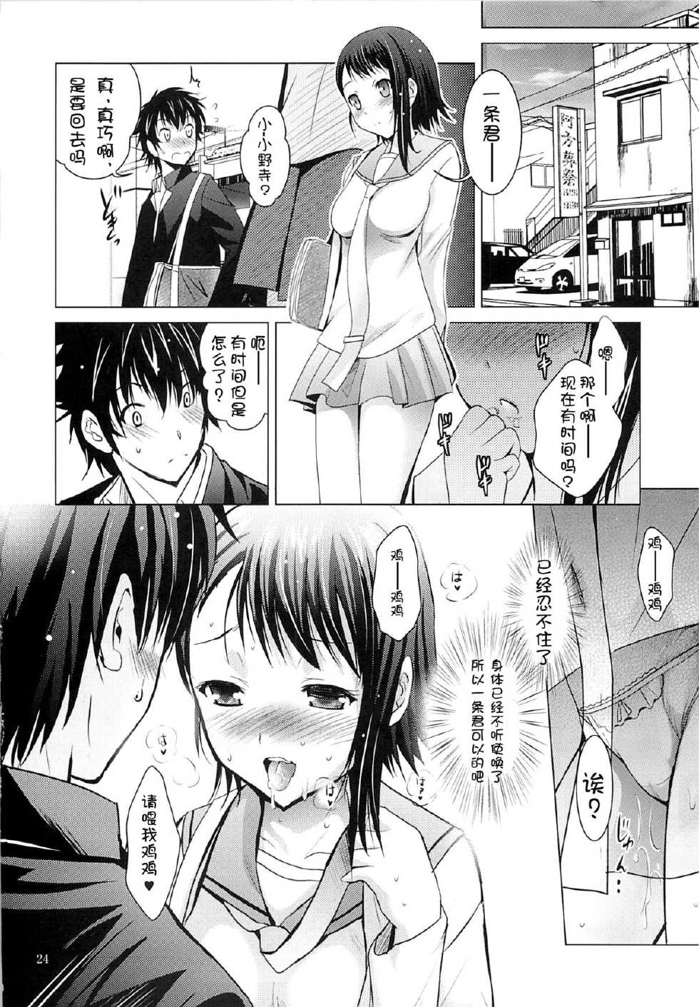 (SC62) [Studio BIG-X (Arino Hiroshi)] MOUSOU THEATER 45 (Nisekoi) [Chinese] [HGD MangaBase汉化] - Page 24