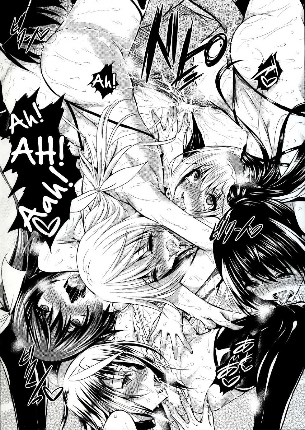 (C85) [Akausagi (Fukuyama Naoto)] ISHR (IS <Infinite Stratos>) [English] [Tigoris Translates] - Page 21
