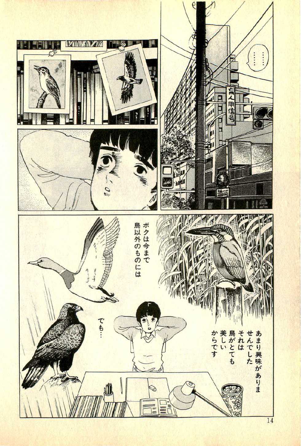 [Deizu Nin] Madonna no Hikyuu - Page 16