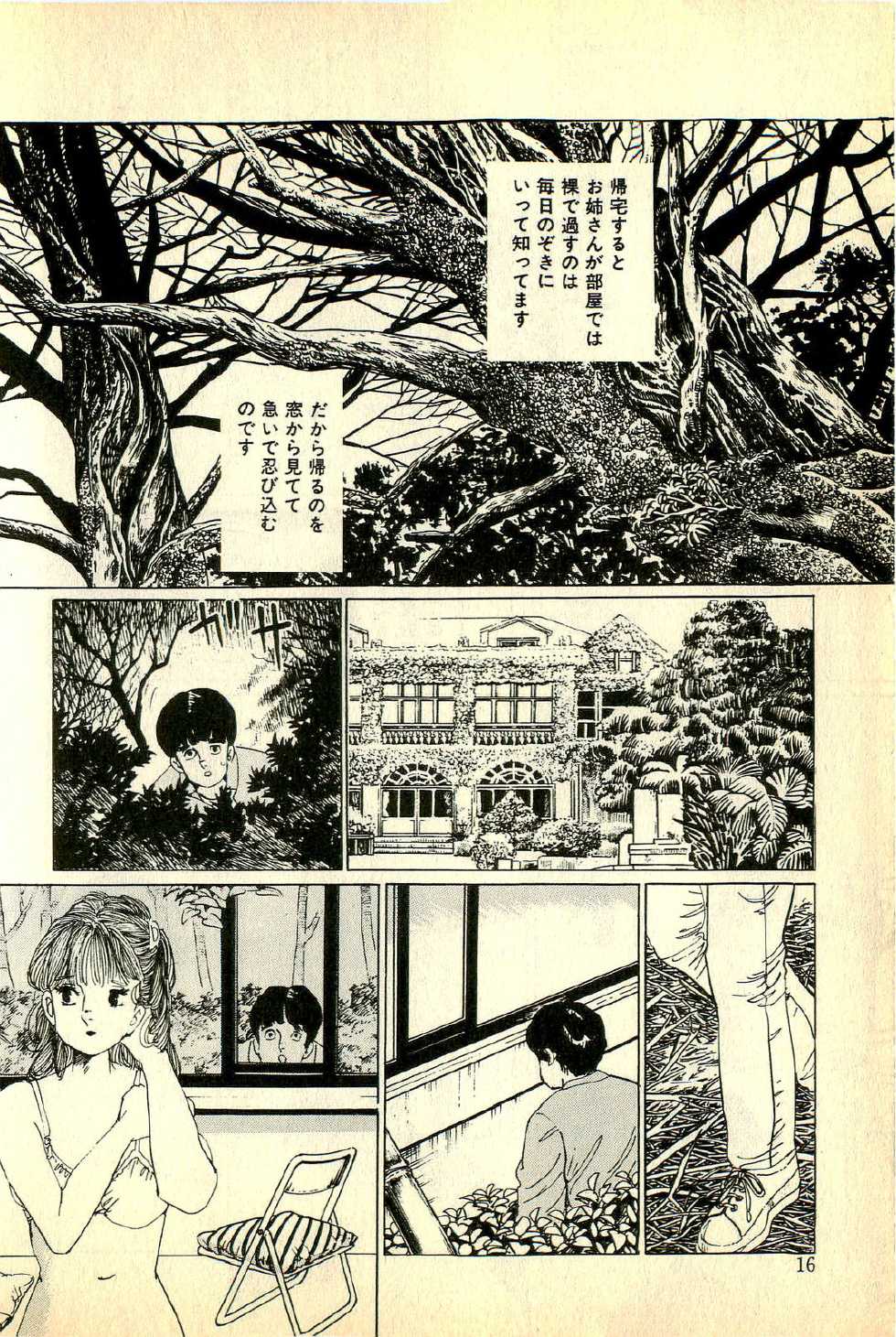 [Deizu Nin] Madonna no Hikyuu - Page 18