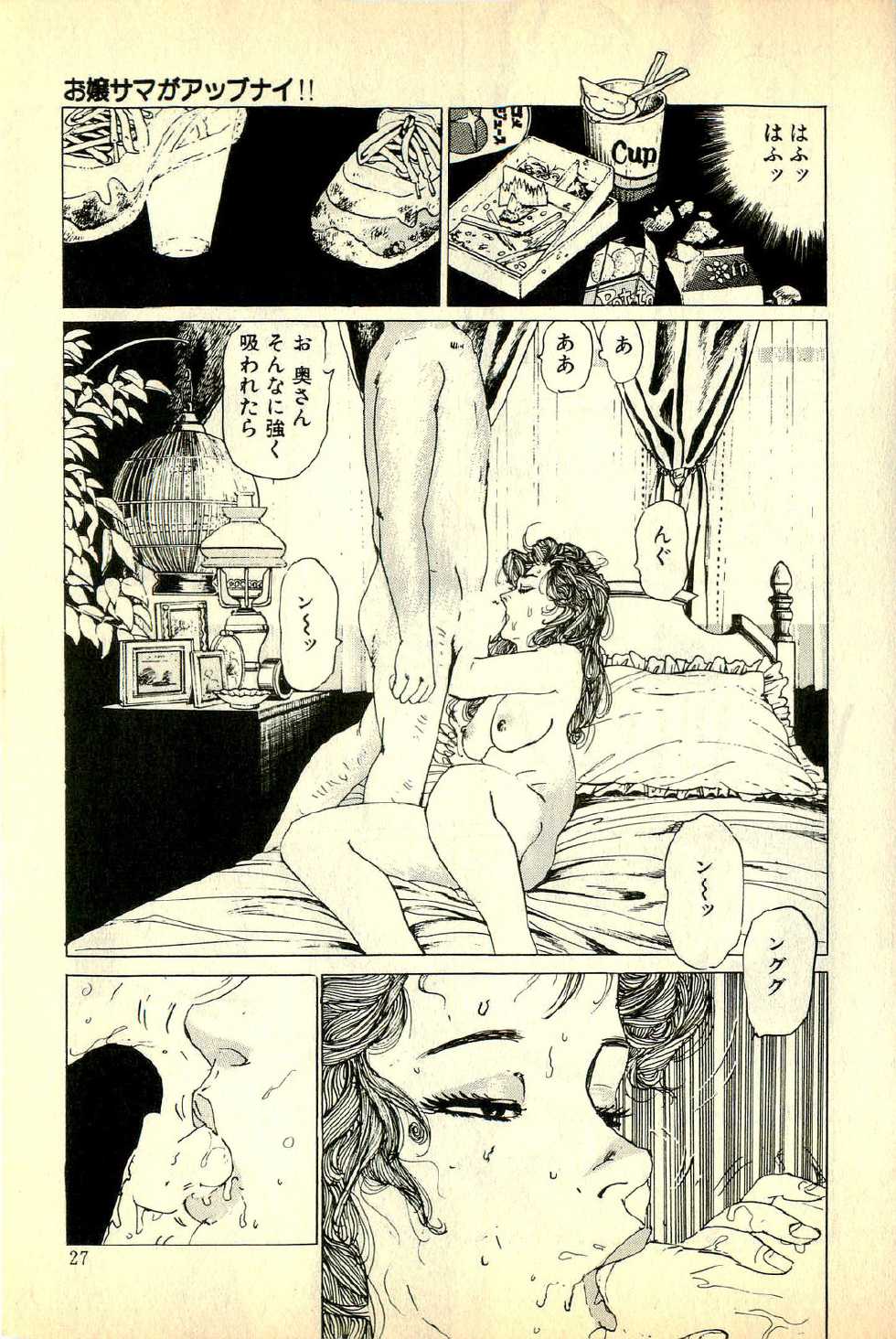 [Deizu Nin] Madonna no Hikyuu - Page 29