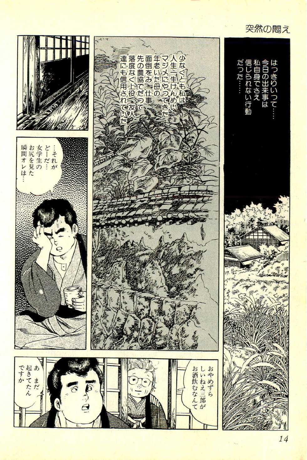 [Deizu Nin] Shoujo Fushigizukan - Page 17