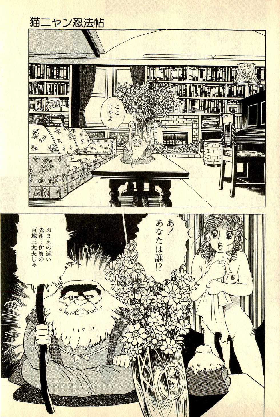 [Deizu Nin] Neko Nyan Ninpouchou - Page 25