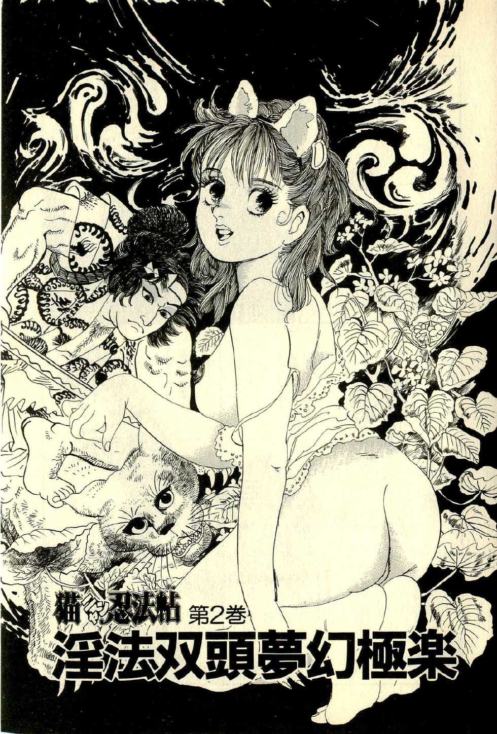 [Deizu Nin] Neko Nyan Ninpouchou - Page 27