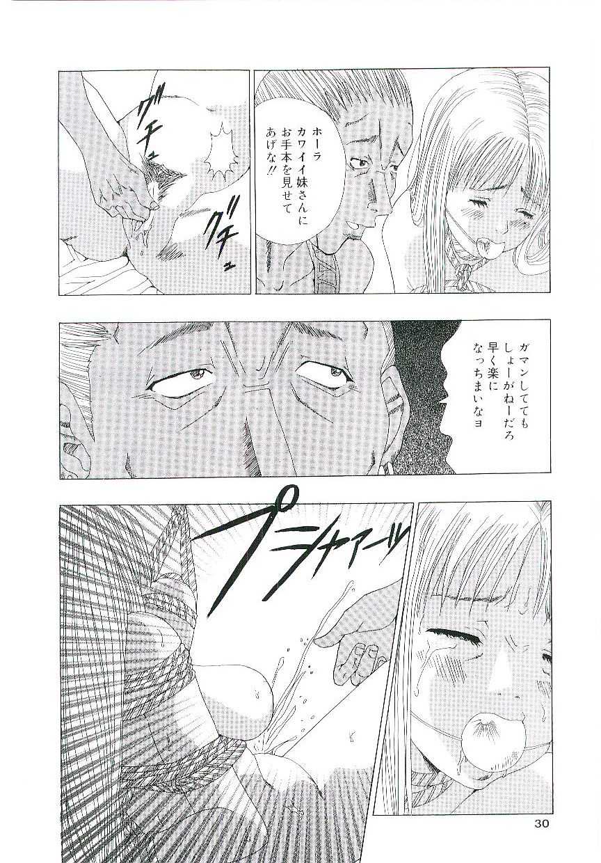 [Anthology] Blood no Muchi - Page 29