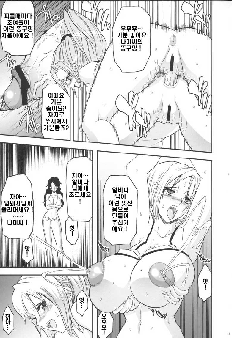 (C70) [Youkai Tamanokoshi (CHIRO)] SILENT SEA Revenge!! (One Piece) [Korean] {보통남자} - Page 14