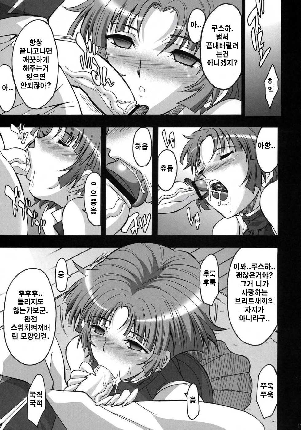 (C71) [Youkai Tamanokoshi (Chiro)] Steel Heroines Vol. 3 (Super Robot Wars) [Korean] {BIGBAE} - Page 16