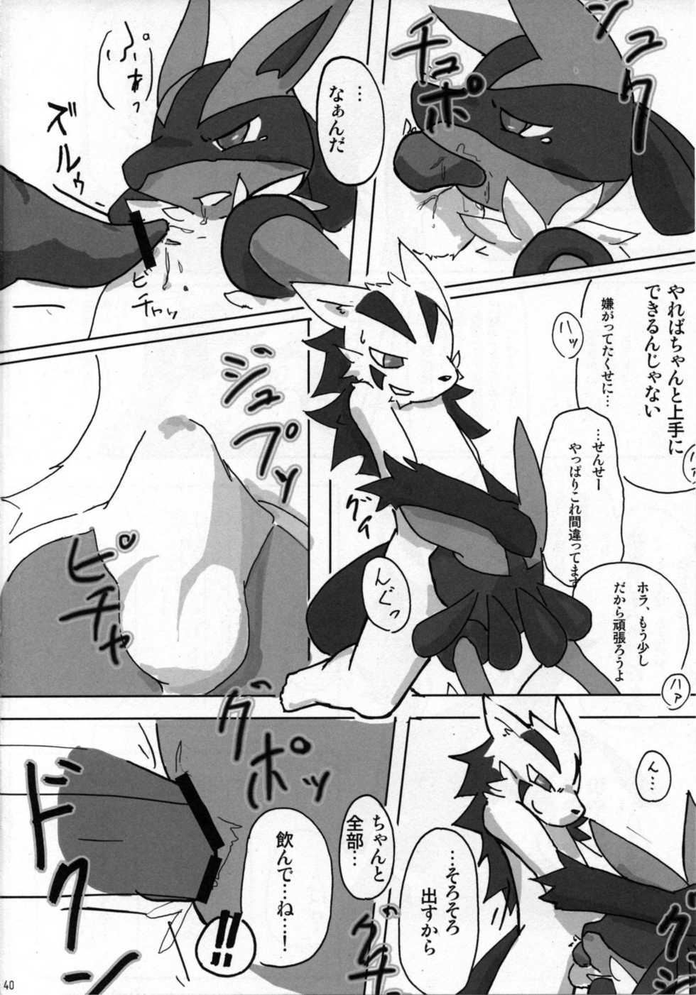 (C78) [Odoshiro Canvas (Various)] Ningen wa Shinyou Dekinai! (Pokemon) - Page 39
