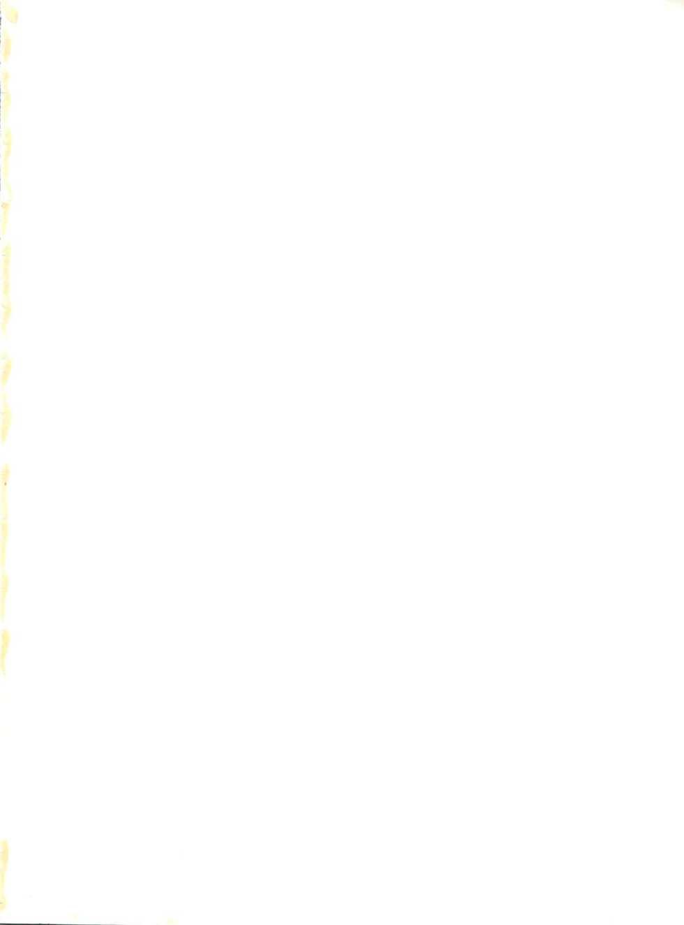 [Zubizu But (Fururin, C7 Side)] Zubizu Bat (Various) - Page 2