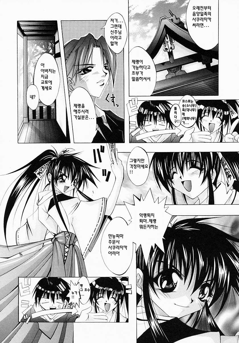 [Inui Sekihiko] Fiesta!! [Korean] - Page 31