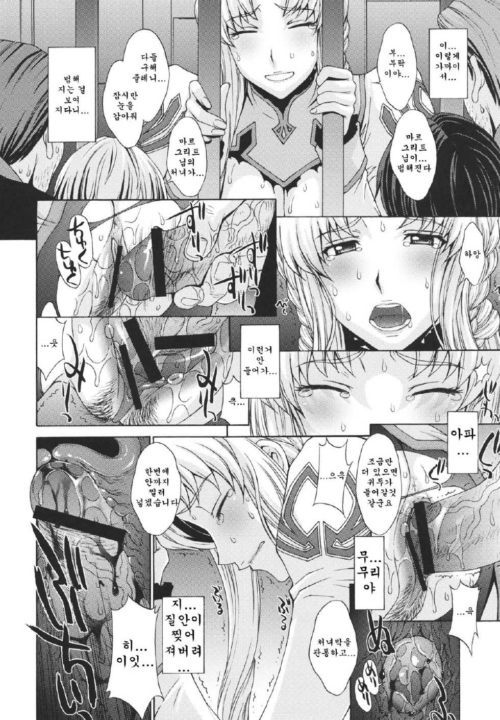 (C80) [Secret Society M (Kitahara Aki)] Anekishi no Shojo wa Hei-tachi no Mae de Chirasareta. (Super Robot Wars Z 2nd) [Korean] [Team Arcana] - Page 17