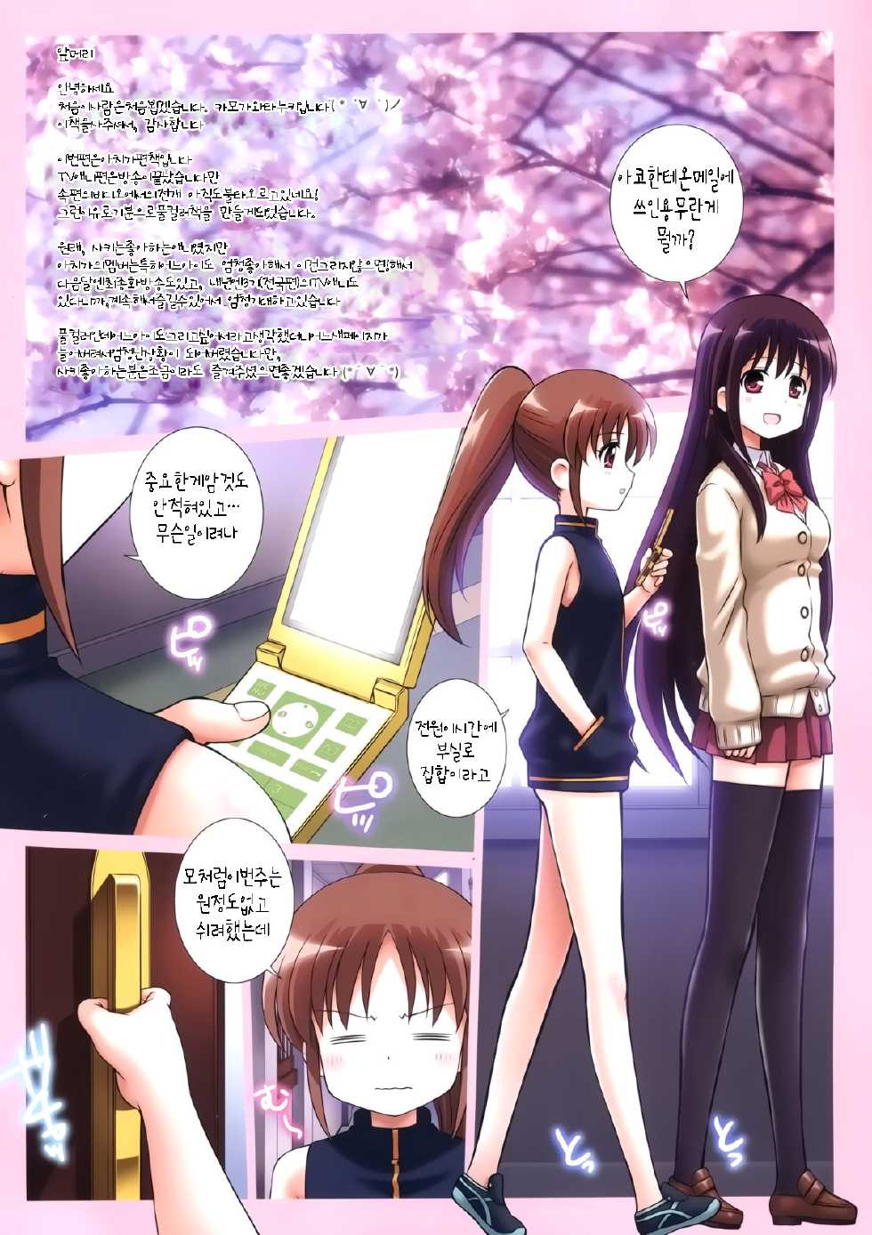 (COMIC1☆7) [Kamogawaya (Kamogawa Tanuki)] A (Saki Achiga-hen) [Korean] [Team Sorry] - Page 2