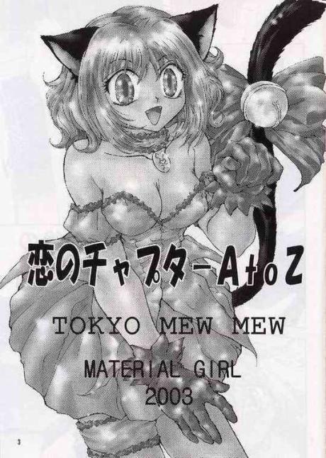 [MATERIAL GIRL (Kannazuki Reira)] Koi no Chapter A to Z (Tokyo Mew Mew) - Page 2