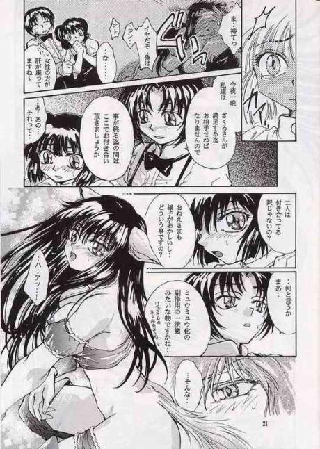 [MATERIAL GIRL (Kannazuki Reira)] Koi no Chapter A to Z (Tokyo Mew Mew) - Page 20