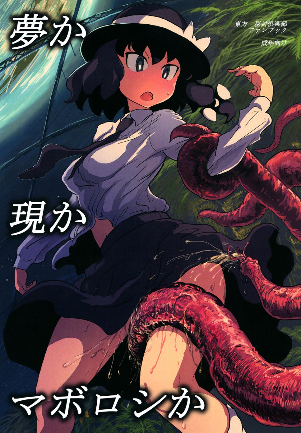 (SC58) [Ana Futatsu (Wenajii)] Yume ka Utsutsu ka Maboroshi ka (Touhou Project) - Page 1