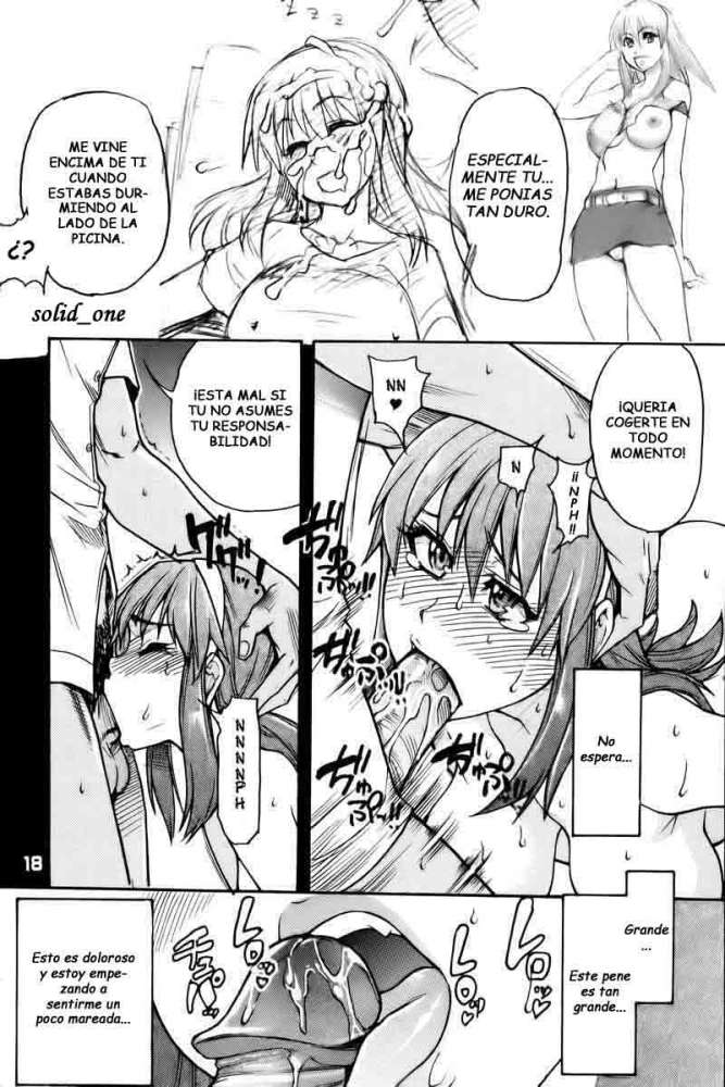 (C71) [Okina Keikaku (Shiwasu no Okina)] Ero Volley 360 Doubutsu Hen (Dead or Alive Xtreme Beach Volleyball) [Spanish] [Solid_one] [Decensored] - Page 17