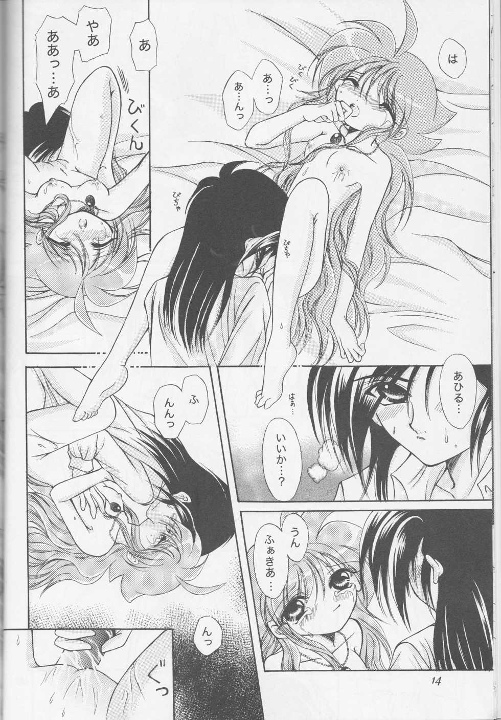 (HaruCC11) [Hoshitama (Shirahata Haruna)] Call (Princess Tutu) - Page 14