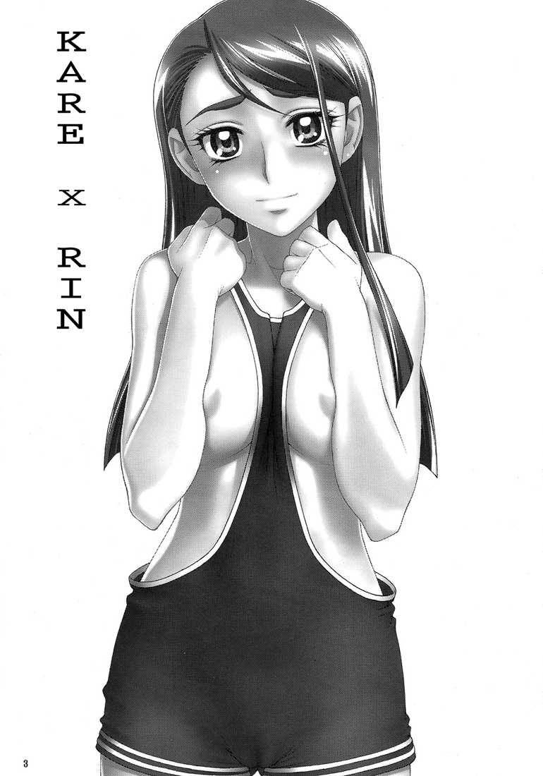 (C73) [Gerupin (Minazuki Juuzou)] KARExRIN ~Karerin~ (Yes! PreCure 5) [Portuguese-BR] [HentaiEyeBR] - Page 2