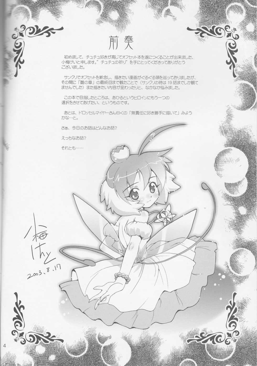 (C64) [Aneko no Techo (Koume Keito)] TuTu no Inori (Princess Tutu) - Page 3