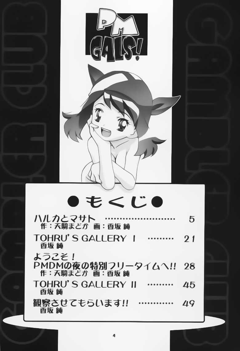 (C66) [Gambler Club (Kousaka Jun)] PM Gals! (Pokémon) [Spanish] [Knk projects] - Page 3