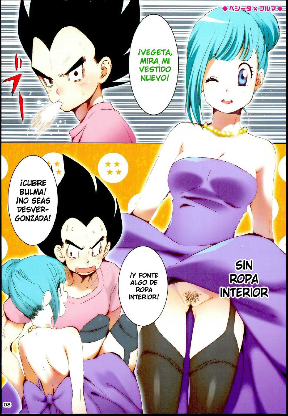 (C85) [S-FLAKE (Yukimitsu)] DRAGON NIGHT (Dragon Ball Z) [Spanish] [LKNOFansub] - Page 8