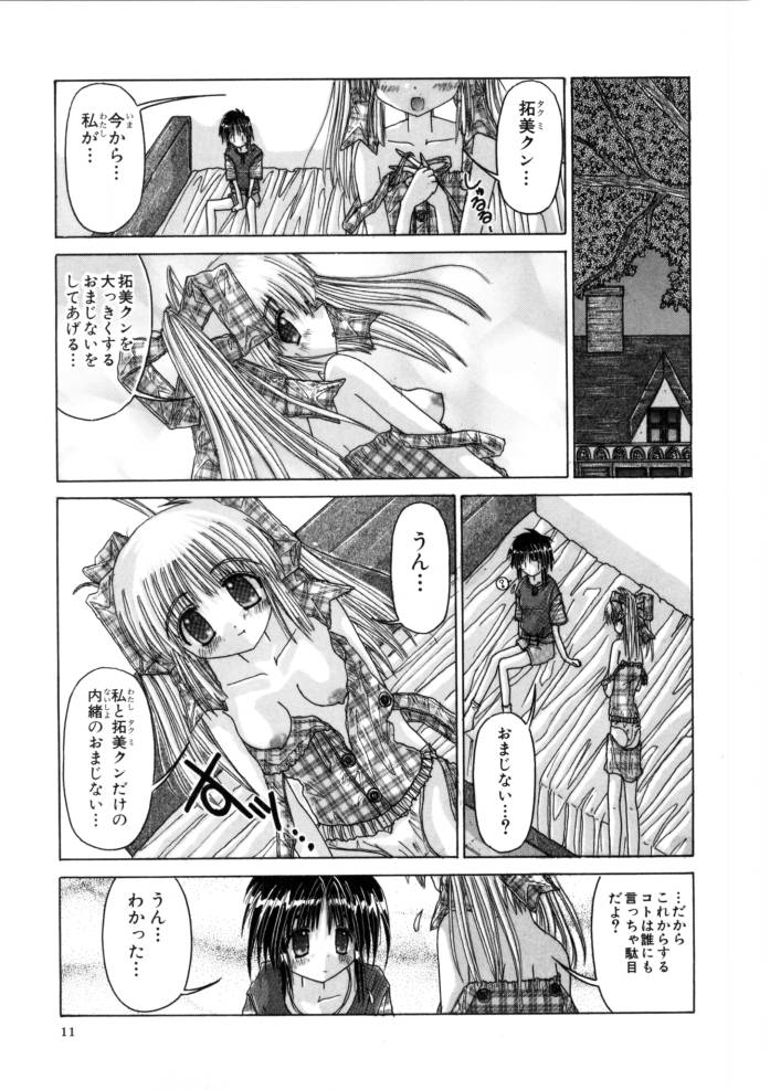 [Kurosaki Haiji] Ash - Page 11
