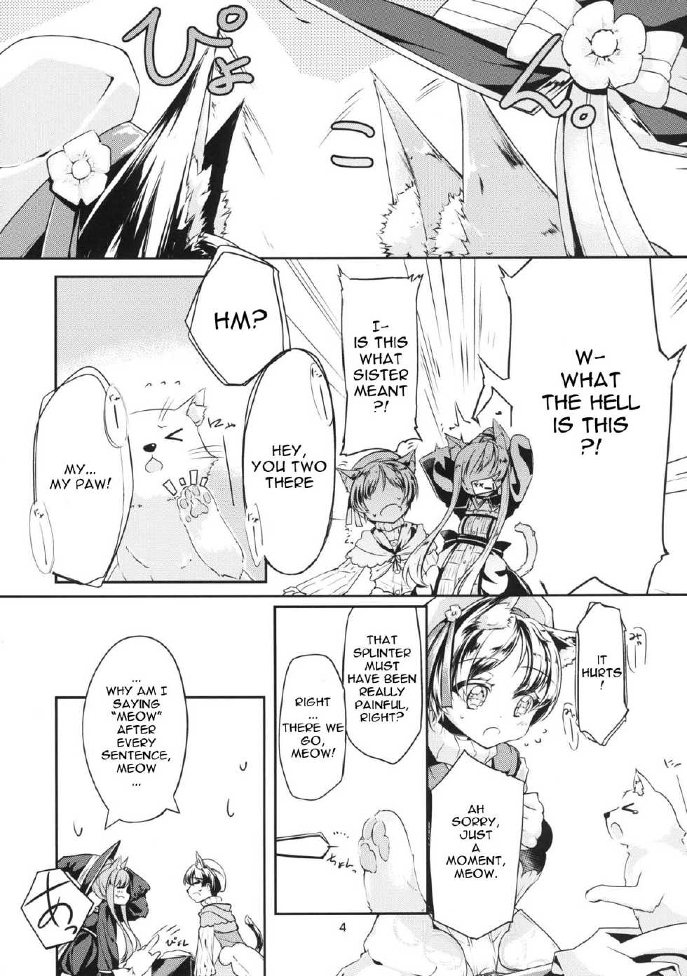 [-Sanbyaku Rokujuu do- (Shirasagi Rokuwa)] Hatsujou Medicine (Atelier Ayesha) [English] [Anon] [Digital] - Page 6