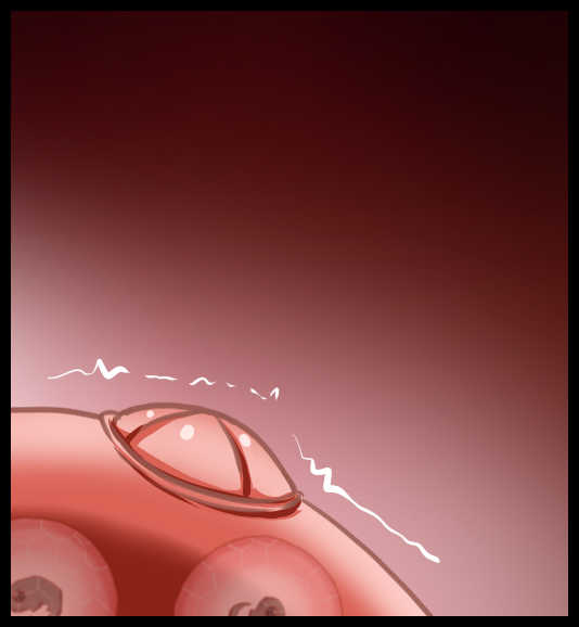 [Red Axis] Install Embryo on Witches 4 (Strike Witches) - Page 11