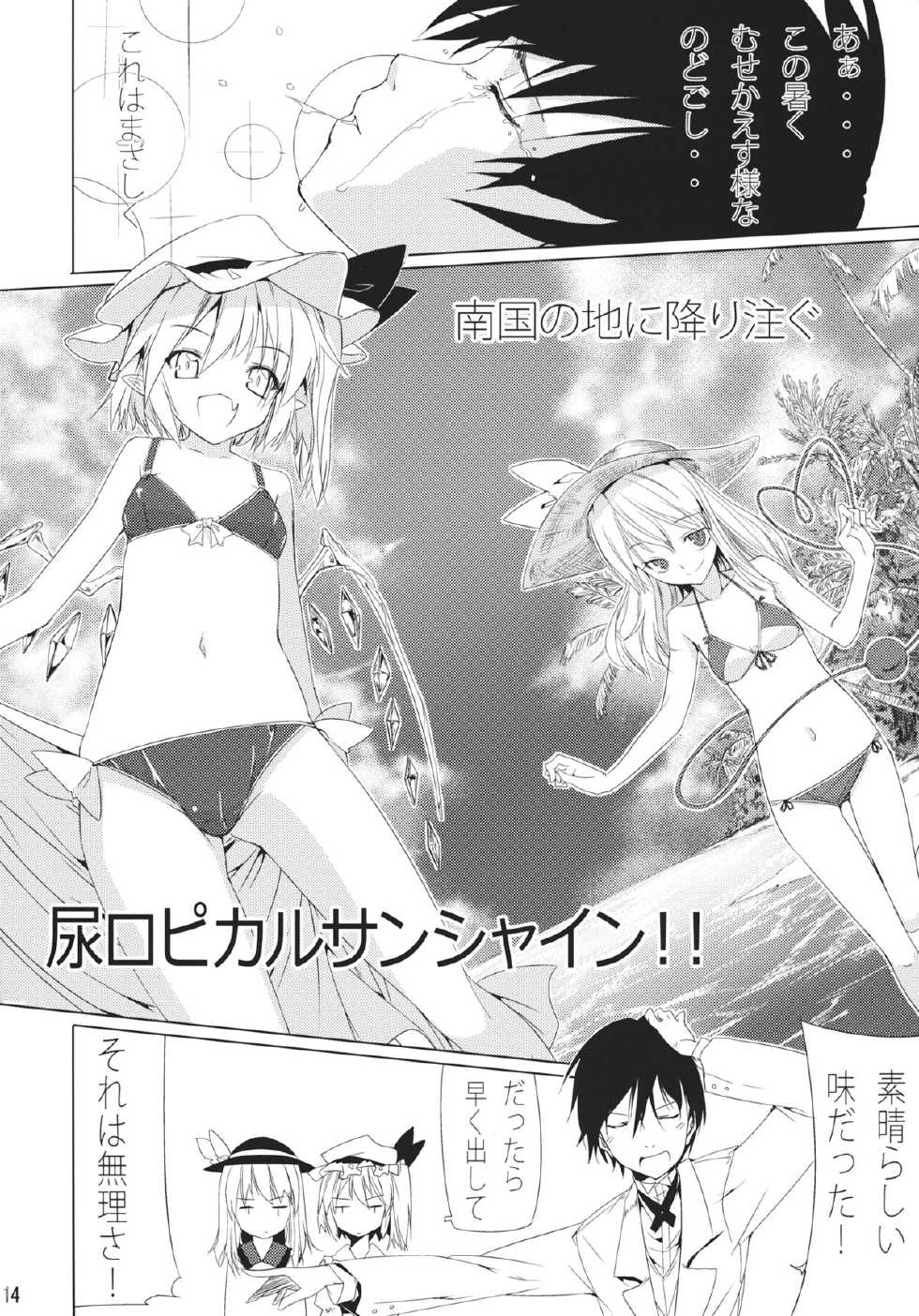 (C85) [Akari wa Honnori Tomoreba Ii (Kurokuro)] CCC (Touhou Project) - Page 13