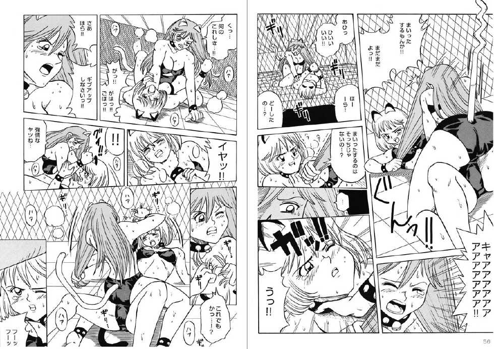 [Meto]復刻版 美少女Fighting Vol 9 - Page 29