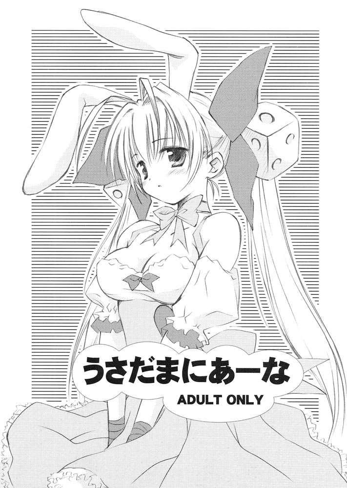 (SC17) [Mizukidou (Mizuki Takehito)] Usada Mania na (Di Gi Charat) - Page 1