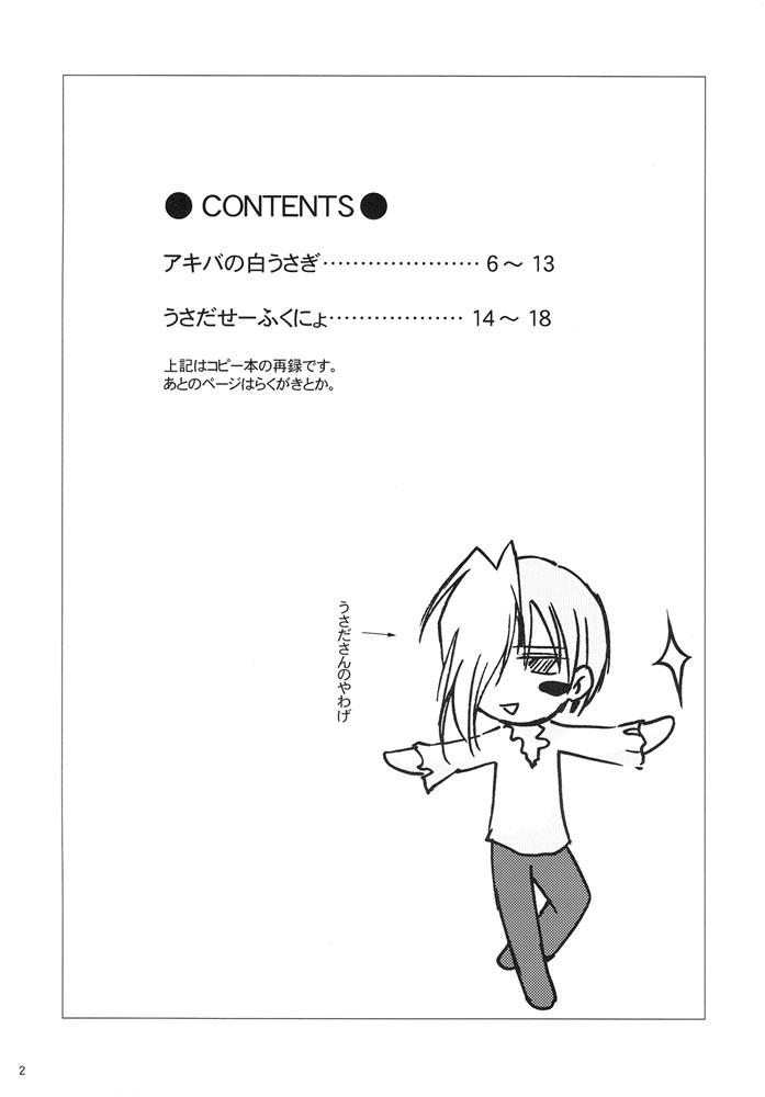 (SC17) [Mizukidou (Mizuki Takehito)] Usada Mania na (Di Gi Charat) - Page 2