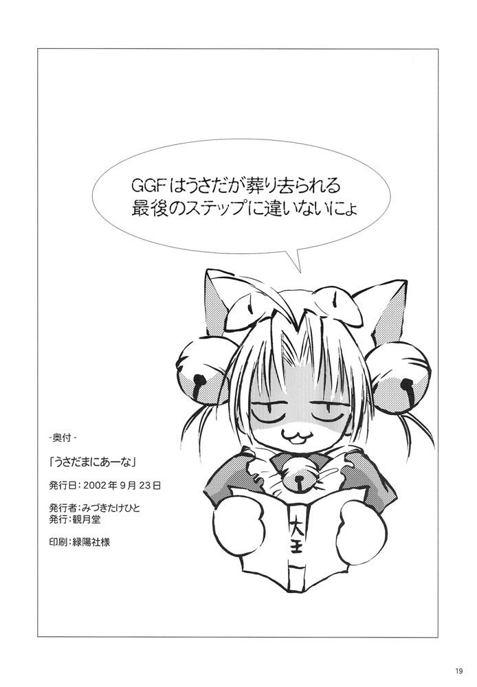 (SC17) [Mizukidou (Mizuki Takehito)] Usada Mania na (Di Gi Charat) - Page 19
