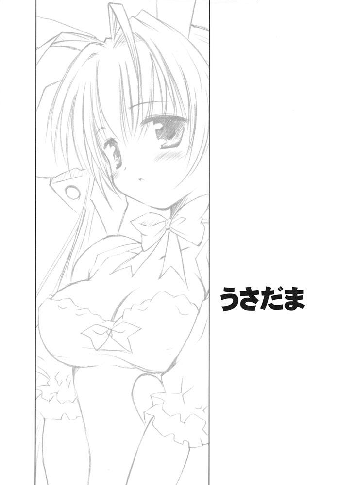 (SC17) [Mizukidou (Mizuki Takehito)] Usada Mania na (Di Gi Charat) - Page 20