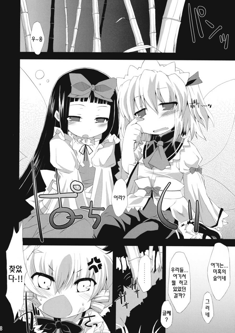 (C76) [IncluDe (Foolest)] Saimin Ihen Ichi BRIGHTNESS DARKNESS ANOTHER (Touhou Project) [Korean] [크레스틴] - Page 7