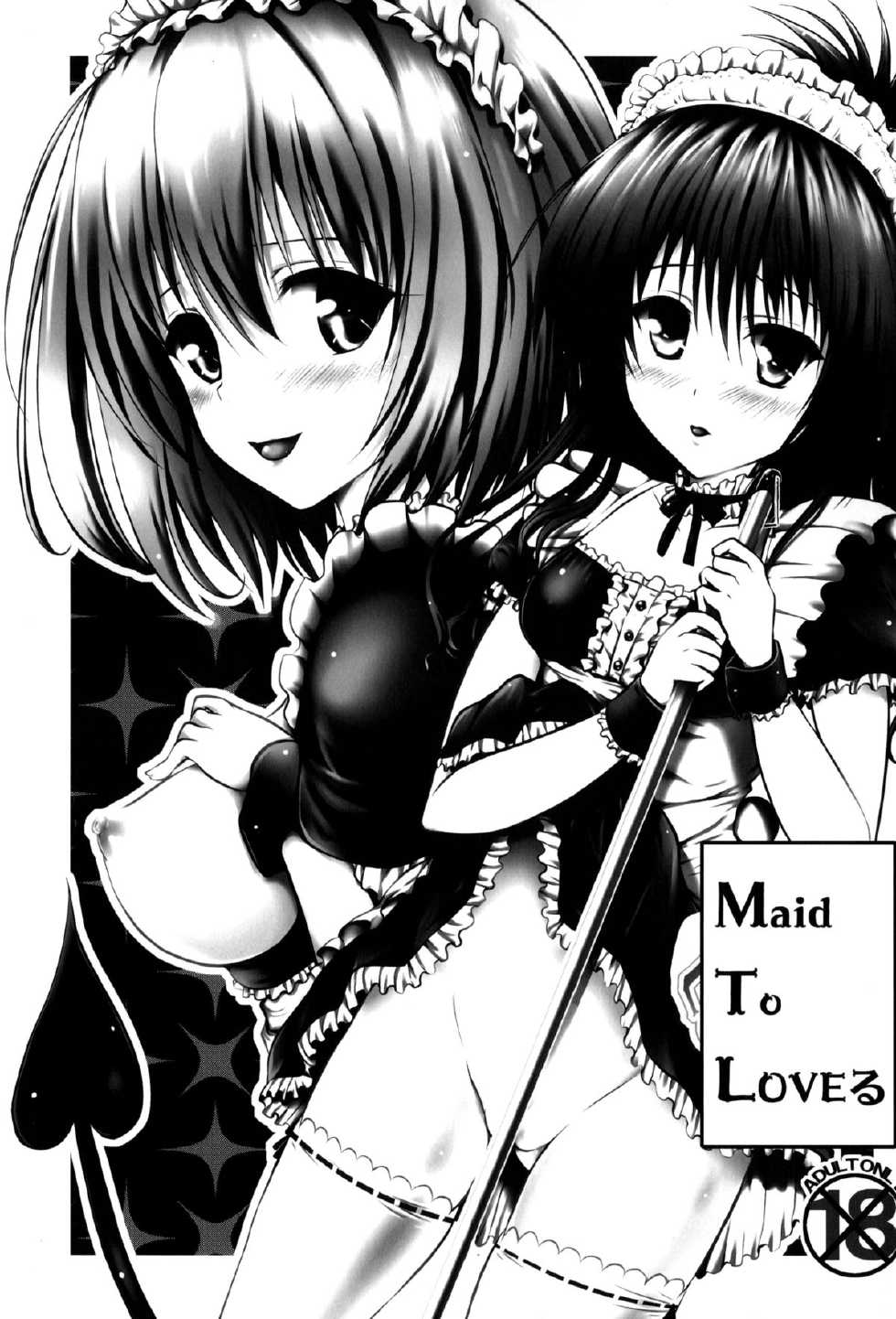 (SC61) [Shiawase Kanmiryou (Yuki Tomoshi)] Maid To LOVE-ru (ToLOVE-Ru Darkness) [Chinese] [脸肿汉化组] - Page 3