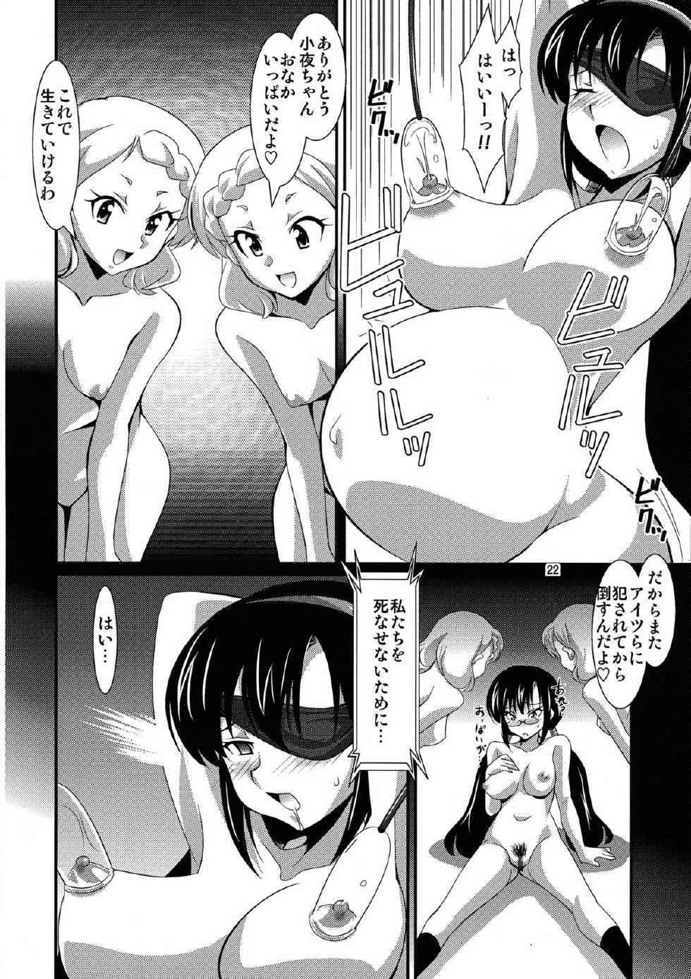 (C81) [Mouko Mouretsu Hasai Dan (Ryumage)] Yin-Yang Yume (BLOOD-C) - Page 22