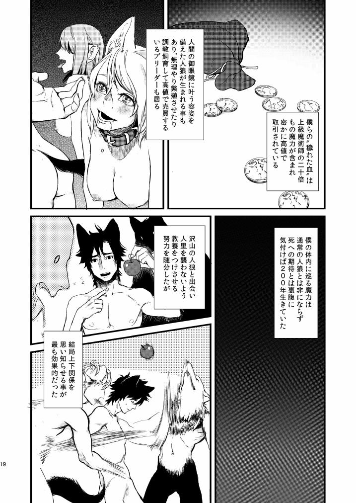 (SPARK8) [MECCHORI. (Mitsuru)] Fate/Wolf 2 (Fate/Zero) - Page 19
