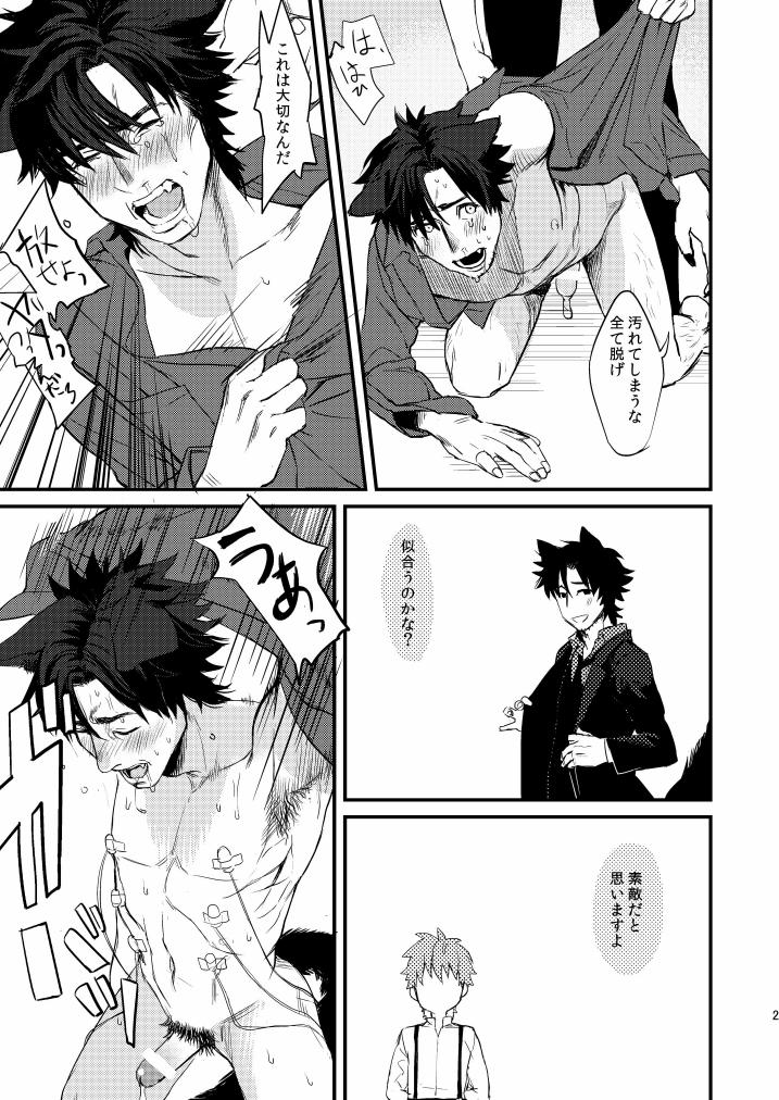 (SPARK8) [MECCHORI. (Mitsuru)] Fate/Wolf 2 (Fate/Zero) - Page 21