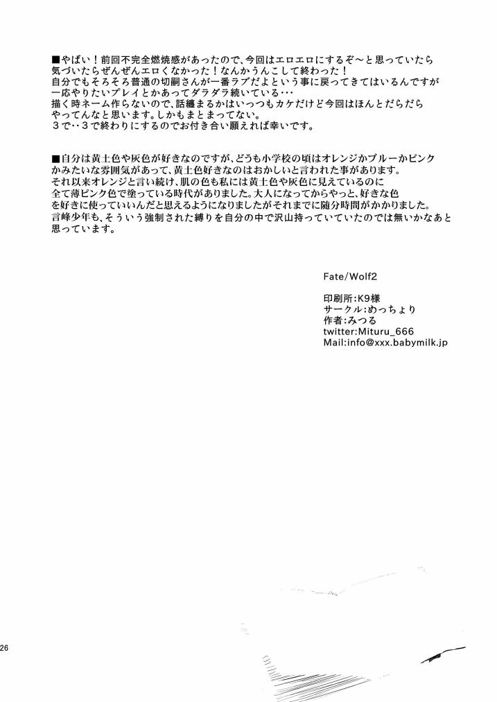 (SPARK8) [MECCHORI. (Mitsuru)] Fate/Wolf 2 (Fate/Zero) - Page 26