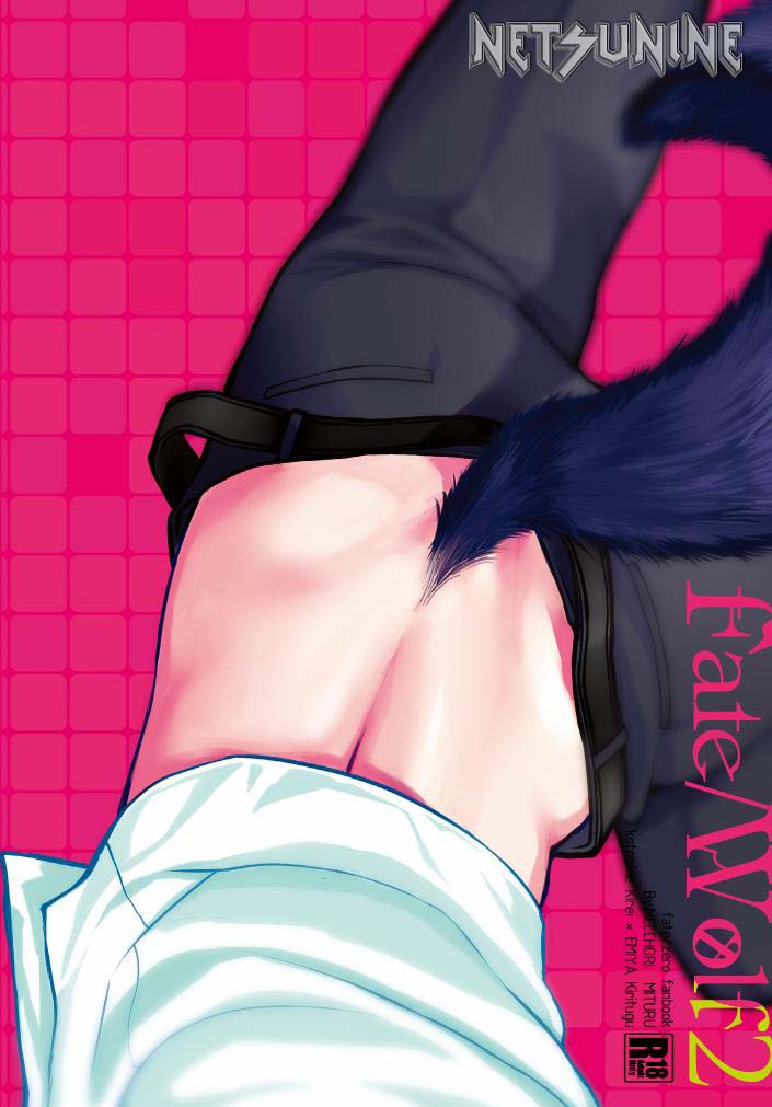(SPARK8) [MECCHORI. (Mitsuru)] Fate/Wolf 2 (Fate/Zero) - Page 28