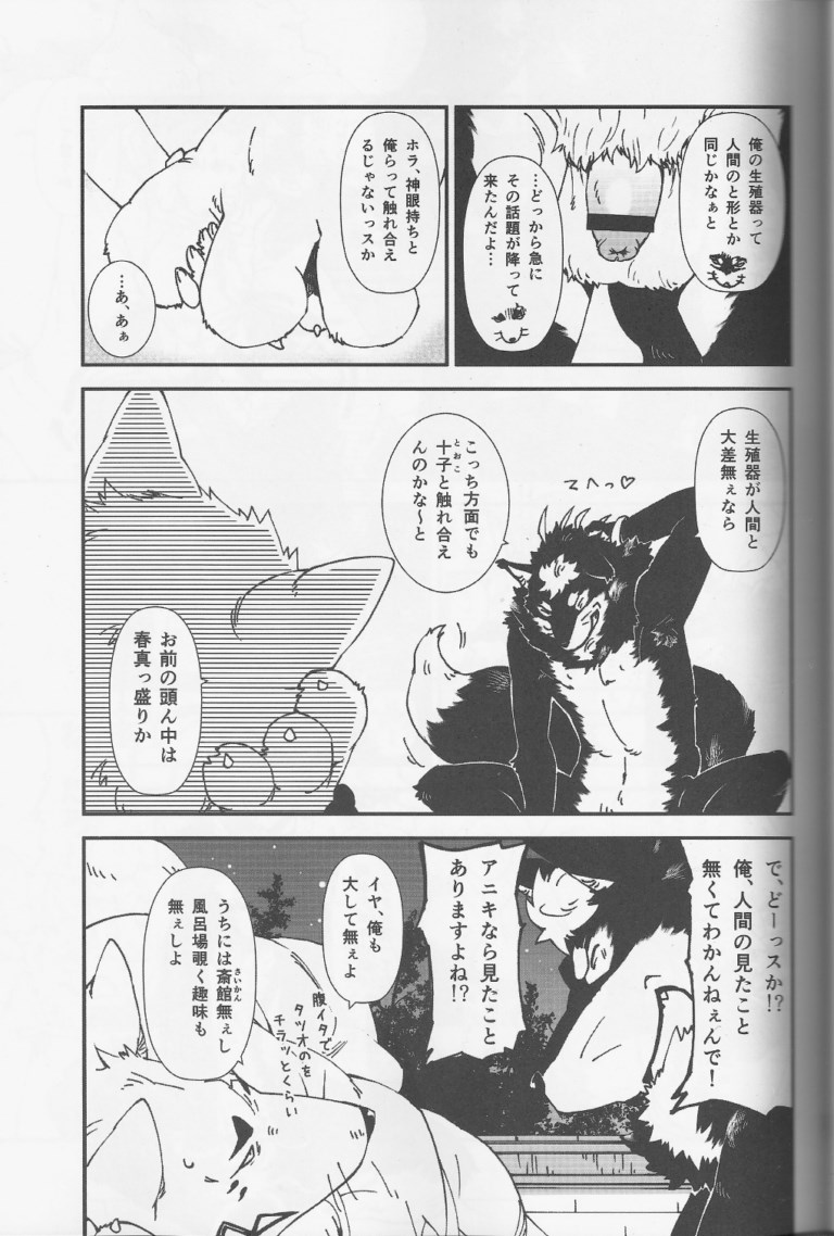 (Fur-st 7) [Toratora-ya (Toratora)] Gin-tetsu-ne (Gingitsune) - Page 10